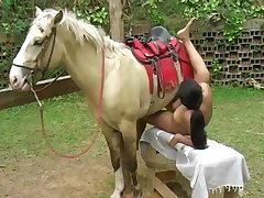 Chubby Brasil Girl Fuck by Pony Stallion 6