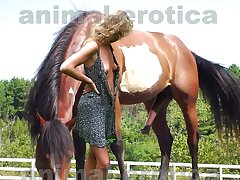 Sexy slut playing with trained for sex brown horse